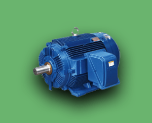 Low Voltage Motors industrial motor solution