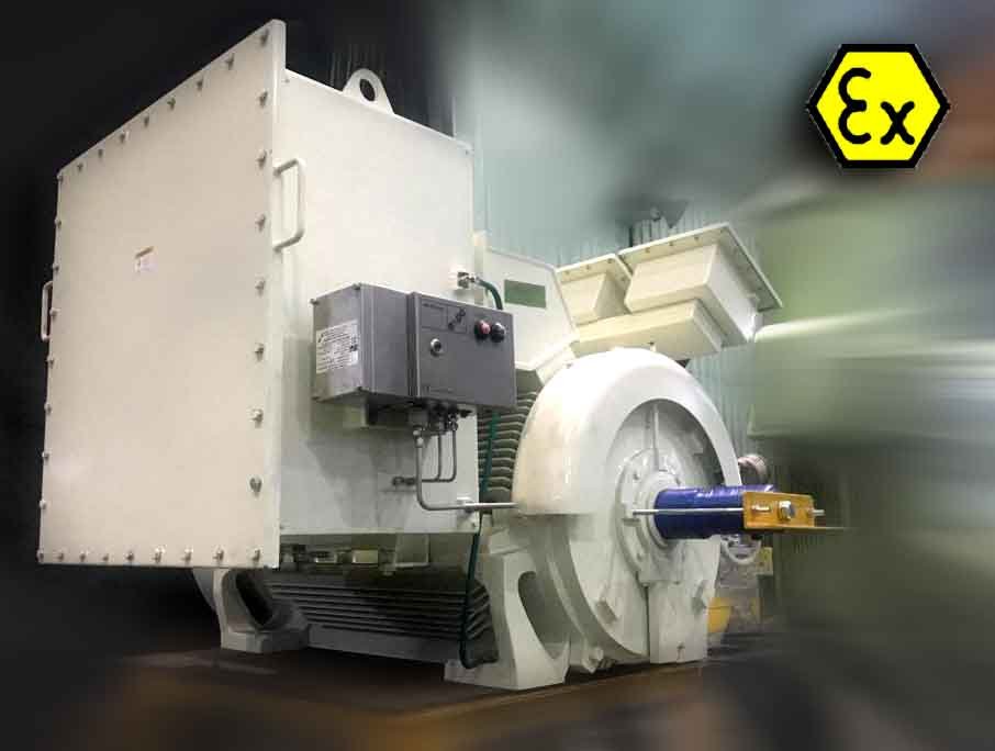 Explosion Proof Motors industrial motor solution
